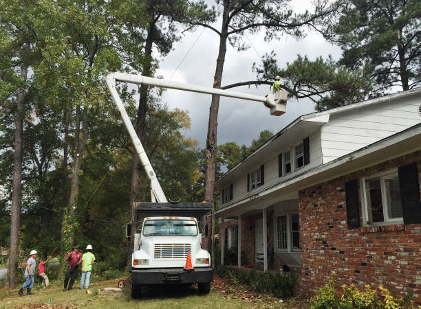 Mulching Services in Clarkston, GA